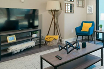 Furniture includes a 50" TV in Livingroom